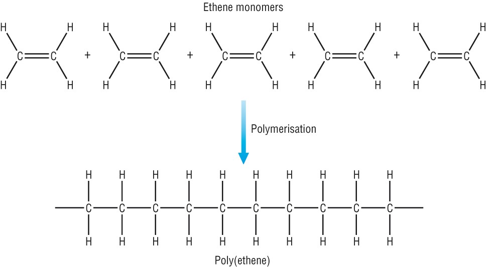 Best IGCSE Organic Chemistry notes complete breakdown