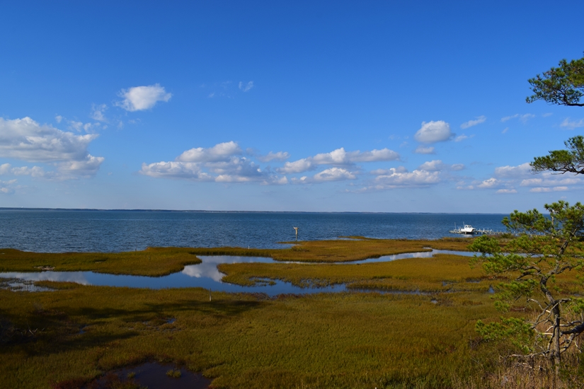 Chincoteague Island Vacation Rentals