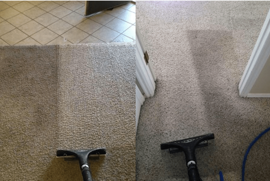 Father & Son Carpet Cleaning, LLC Reviews from Customers