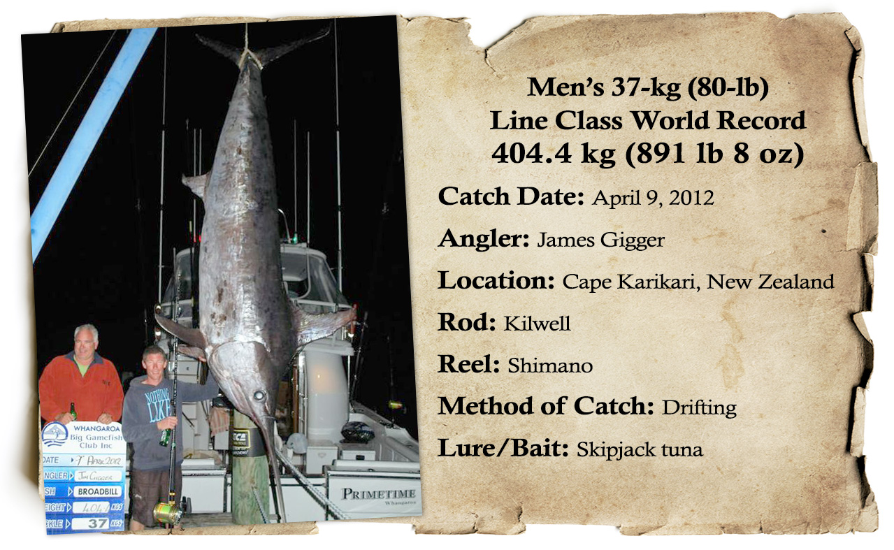 Record Swordfish
