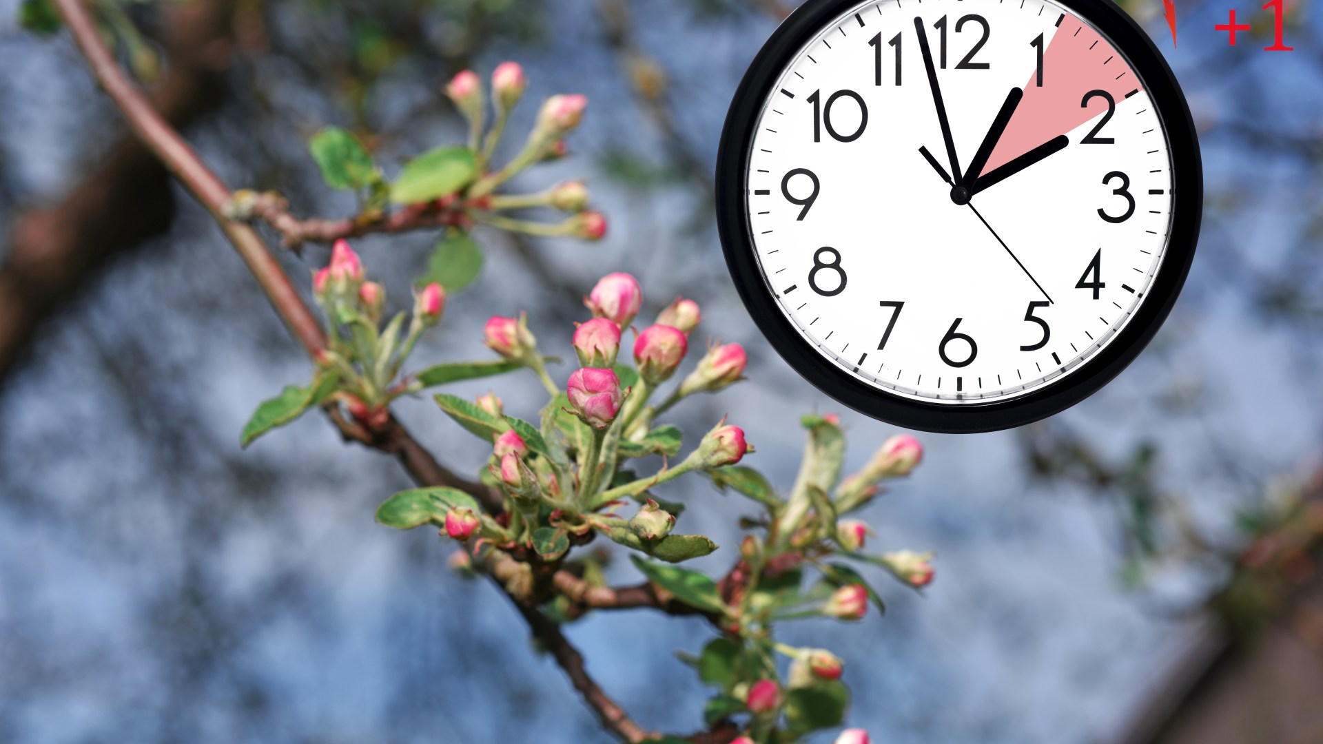 When do the clocks go forward in 2024? iGhanaian