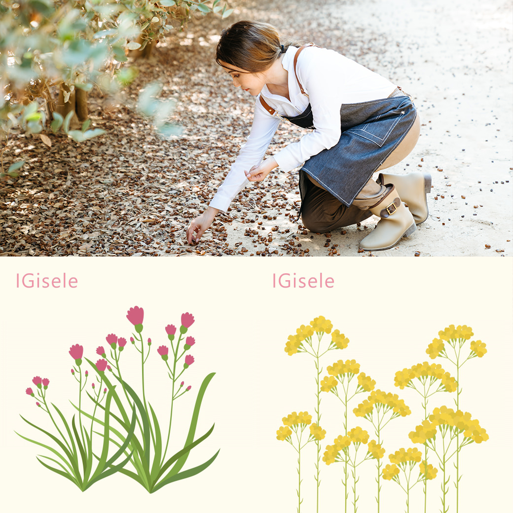 [精油] 居家必備十種精油（下），跟著小吉玩芳療 第五課