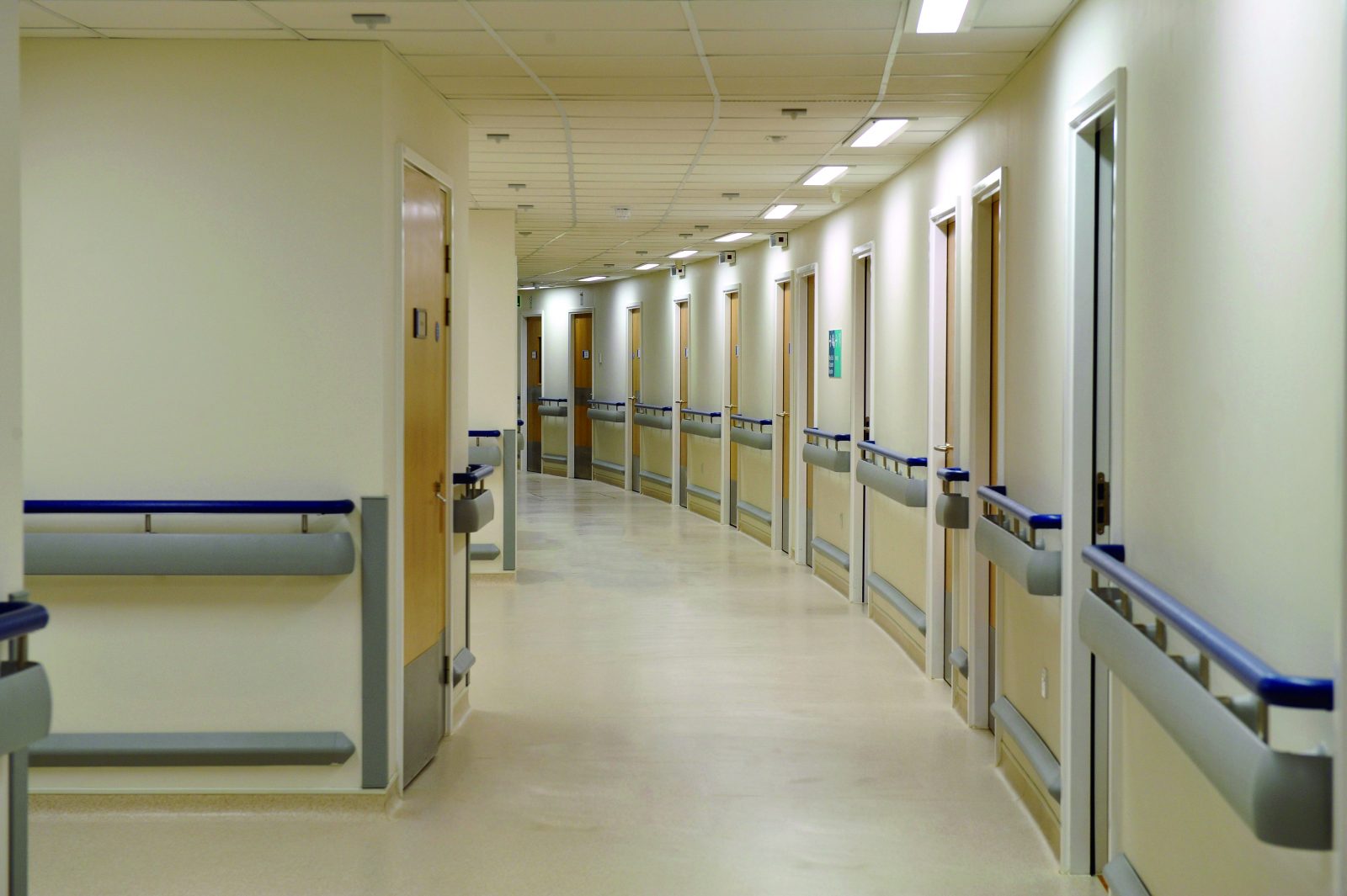 Wall Protection Igloo Surfaces