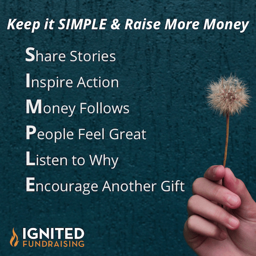 SIMPLE Actions = Effective Annual Fundraising Plan Ignited Fundraising