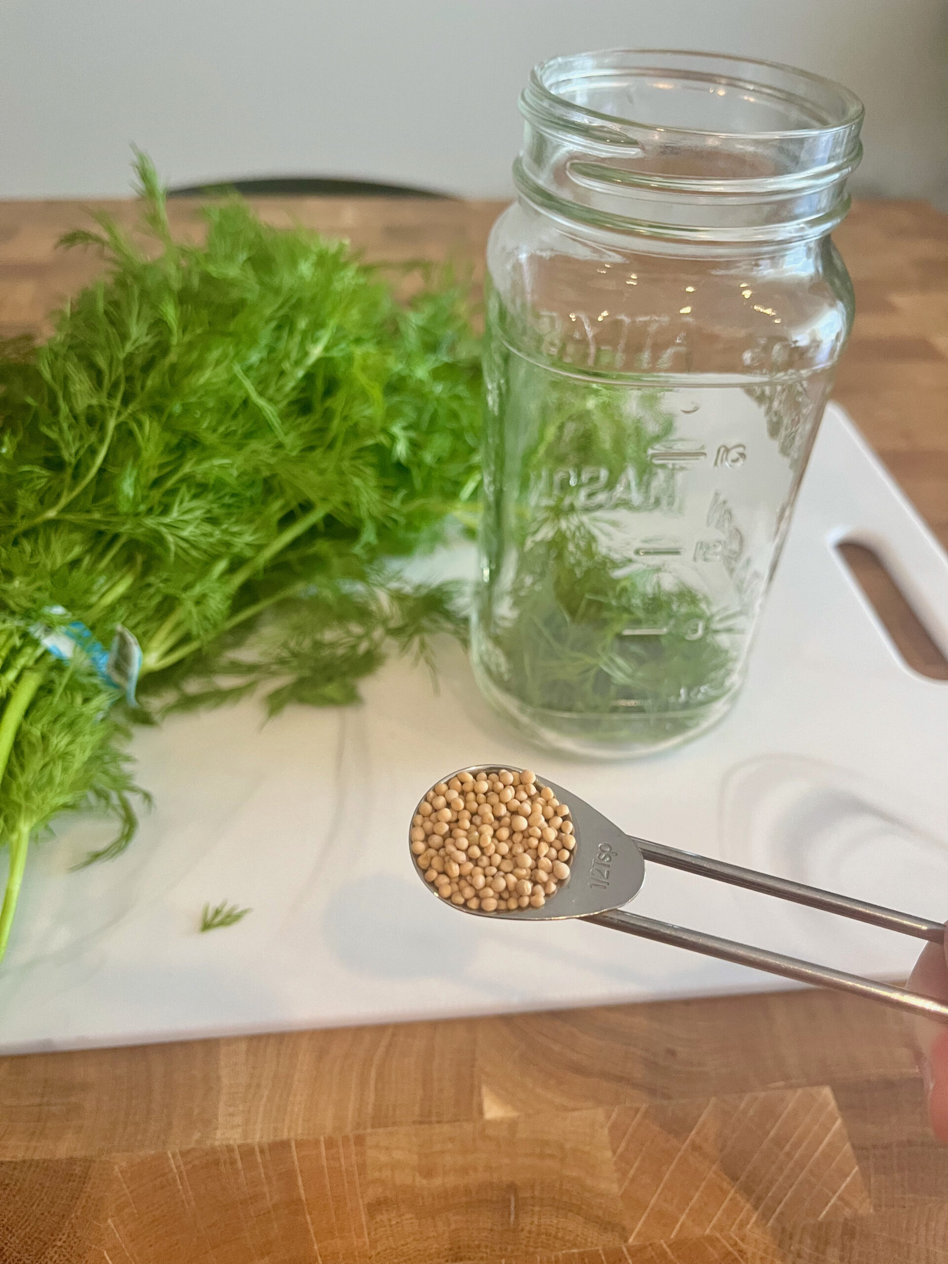 Low FODMAP Pickled Dill Green Beans Ignite Nutrition