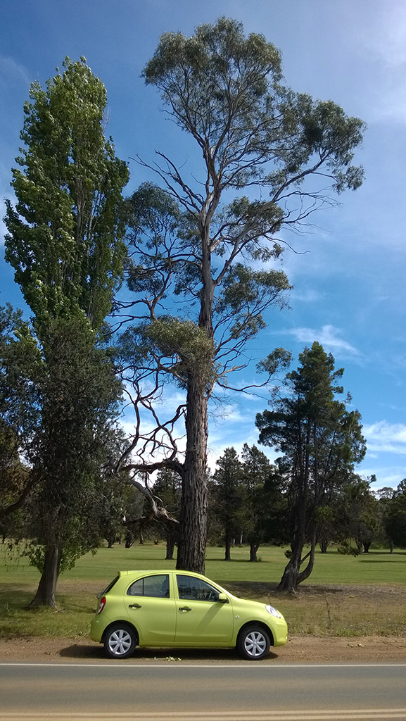 3 dana iz snova na Tasmaniji u 24 slike3 dream days on Tasmania in 24