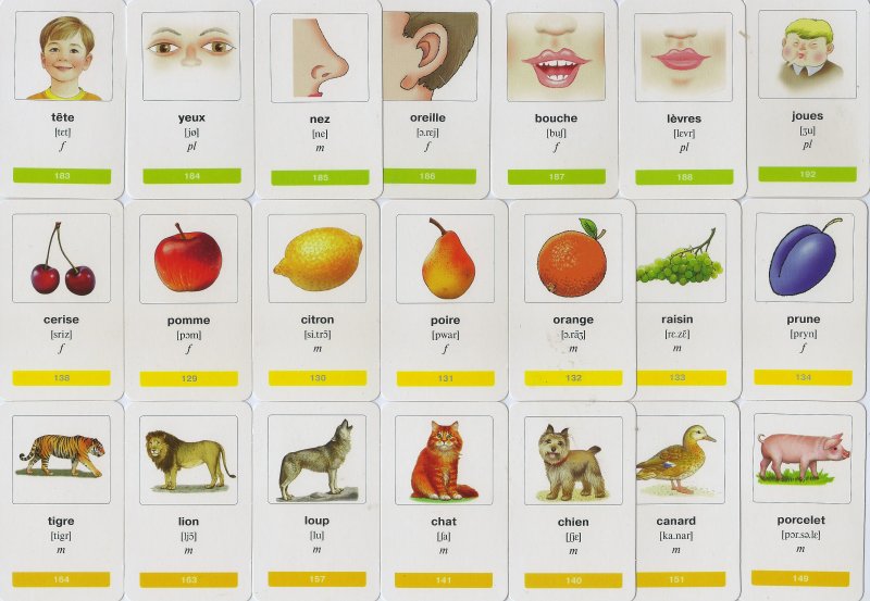 Русский язык для начинающих детей с картинками