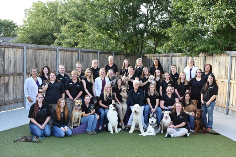 About Us Indian Hills Animal Clinic