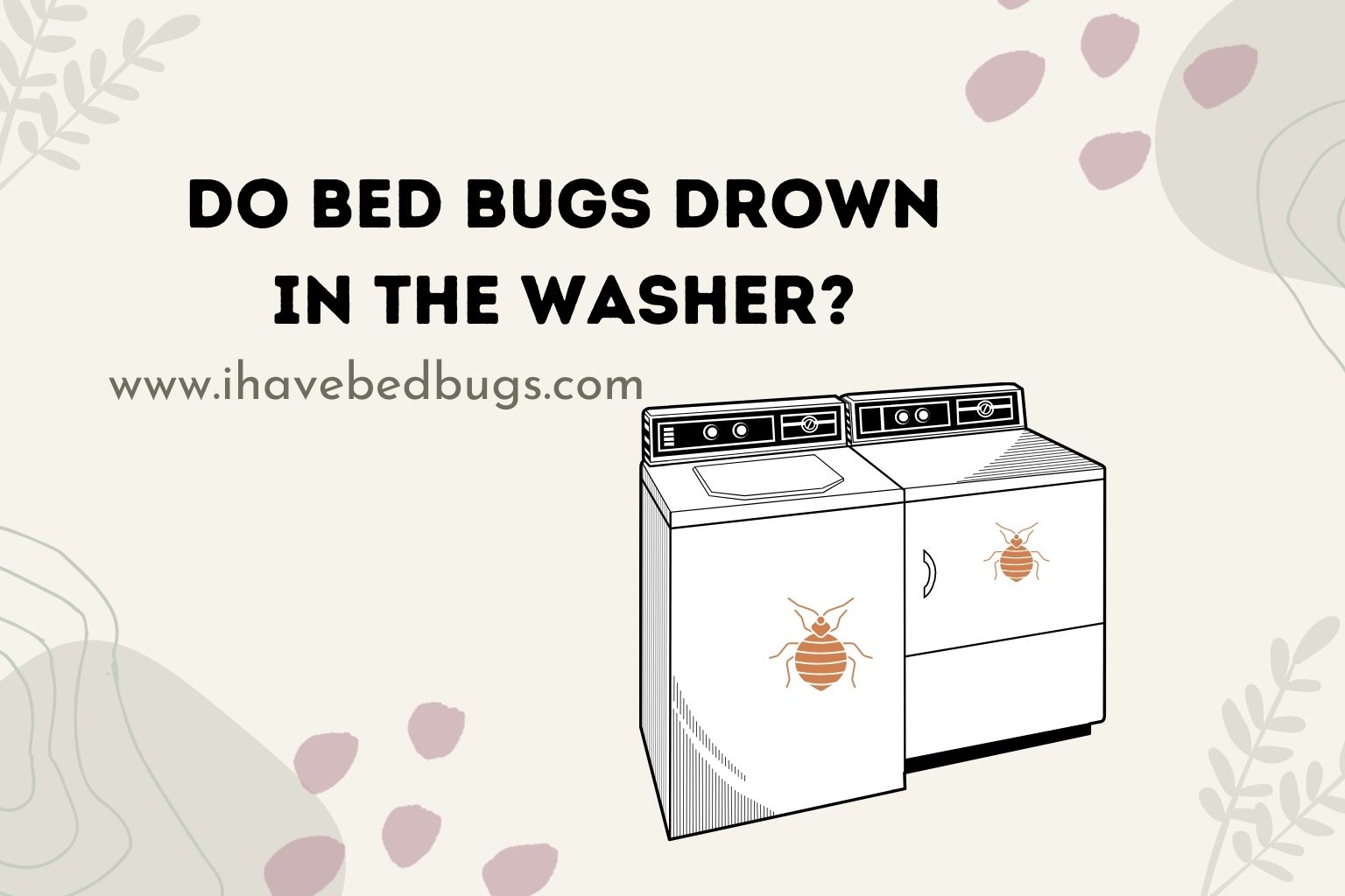 Do Bed Bugs Survive Washing Machines at Mary Hodgkins blog