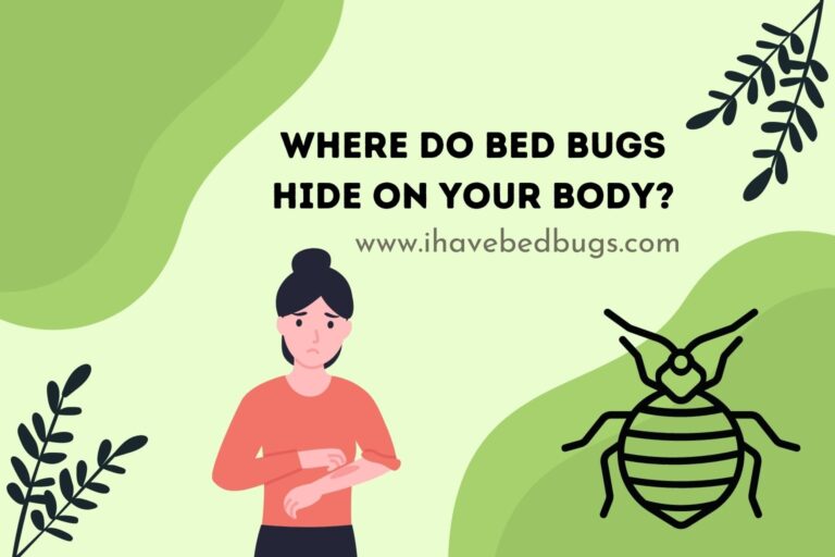 Where Do Bed Bugs Hide on Your Body?
