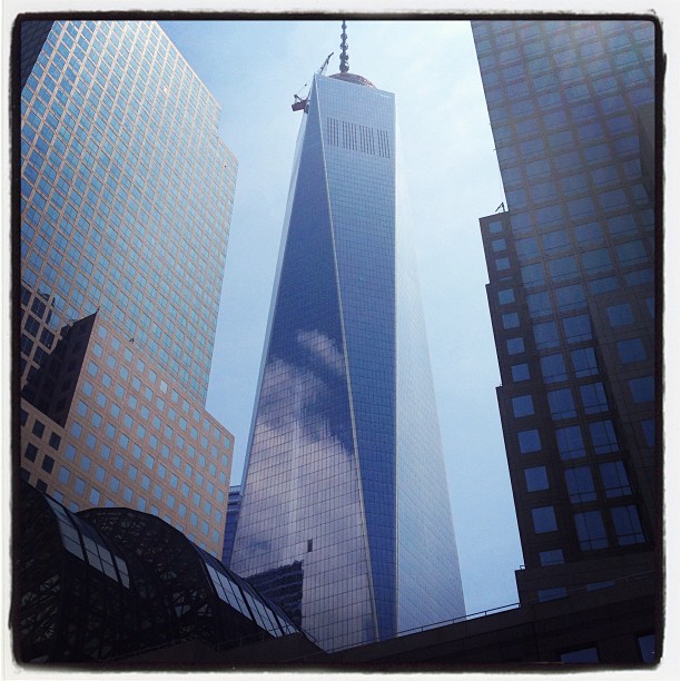 New York City Living I Have Cat