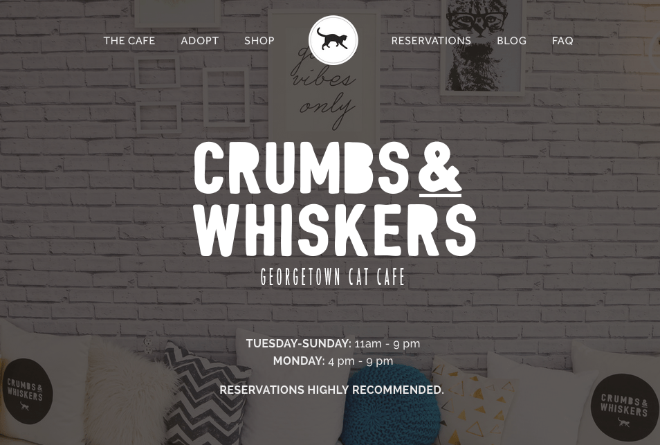 Crumbs and Whiskers DC's First Cat Cafe! I Have Cat