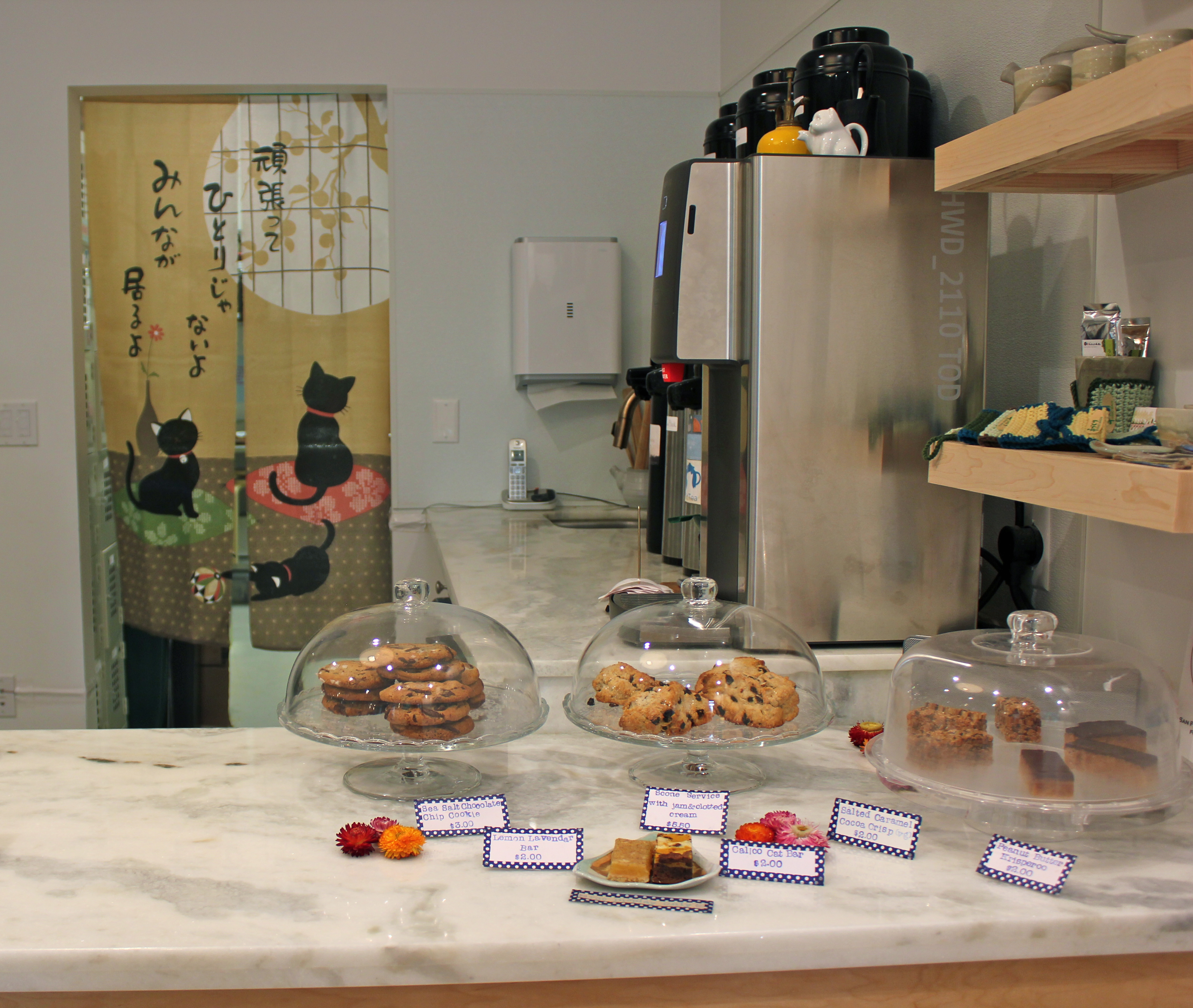 Inside KitTea, San Francisco's Cat Cafe I Have Cat