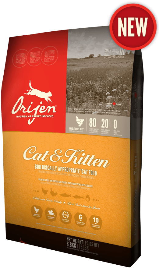 Our Top 10 Picks for the Best Cat Food