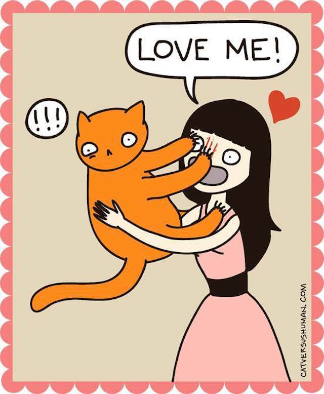 Are You A Crazy Cat Lady? Then Youll LOVE This Hilarious