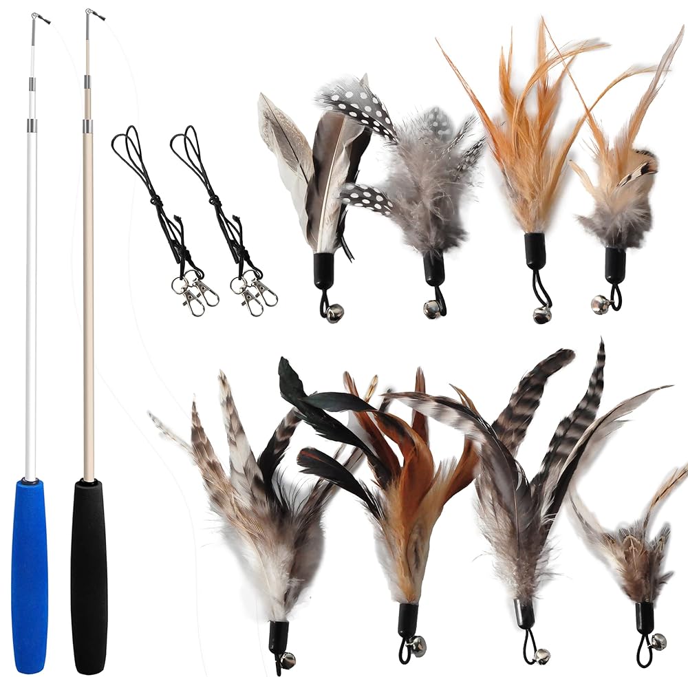 14 Best Feather Toys for Cats
