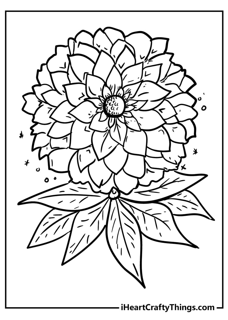 Big Flowers Coloring Pages Best Flower Site Big Flowers Coloring Pages Best Flower Site