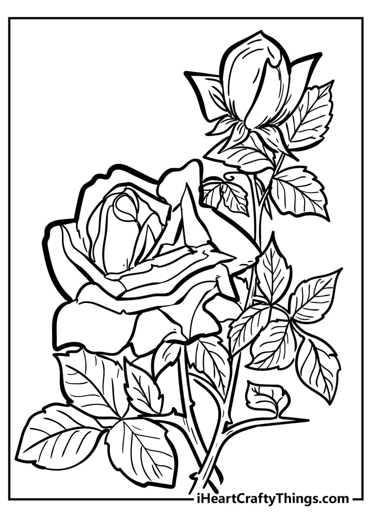Rose Coloring Pages Original And 100 Free (2021)