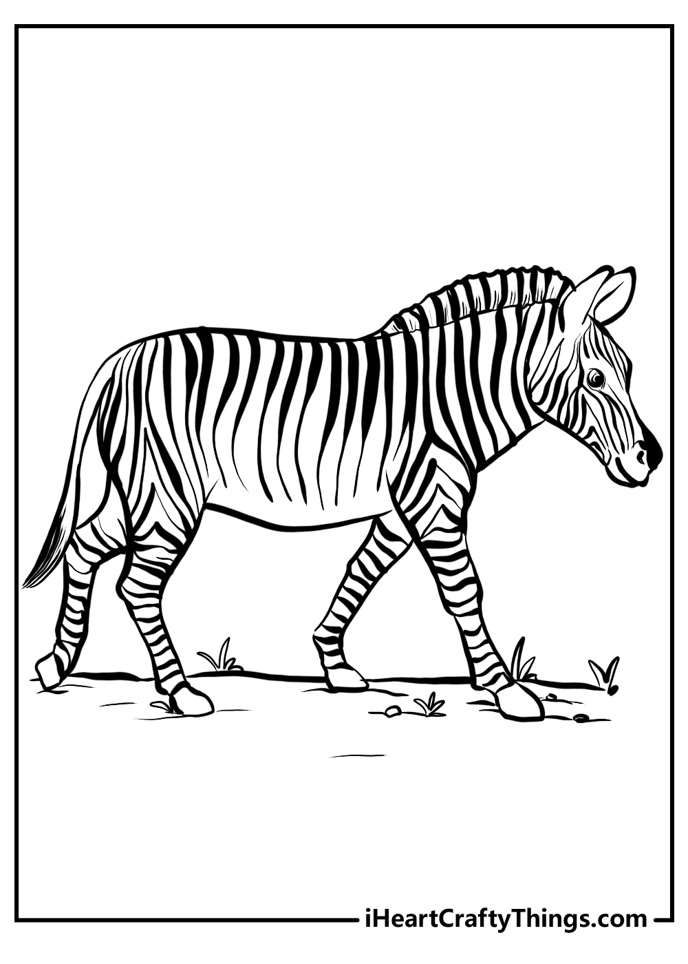 Free Printable Zebra Coloring Pages For Kids Zebra Coloring Pages