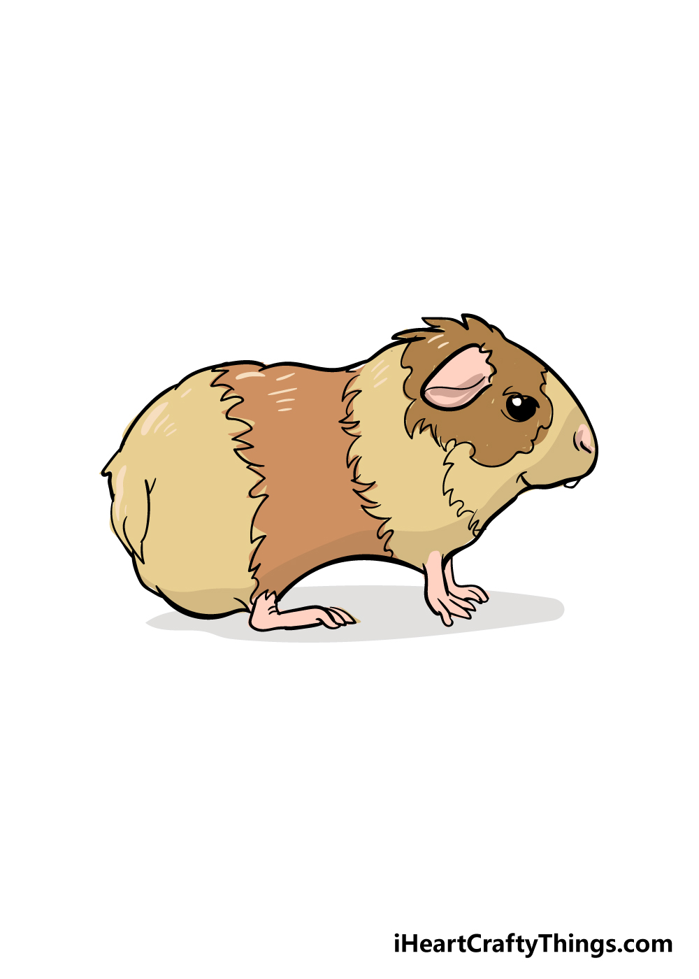 Guinea Pig Drawing How To Draw A Guinea Pig Step By Step