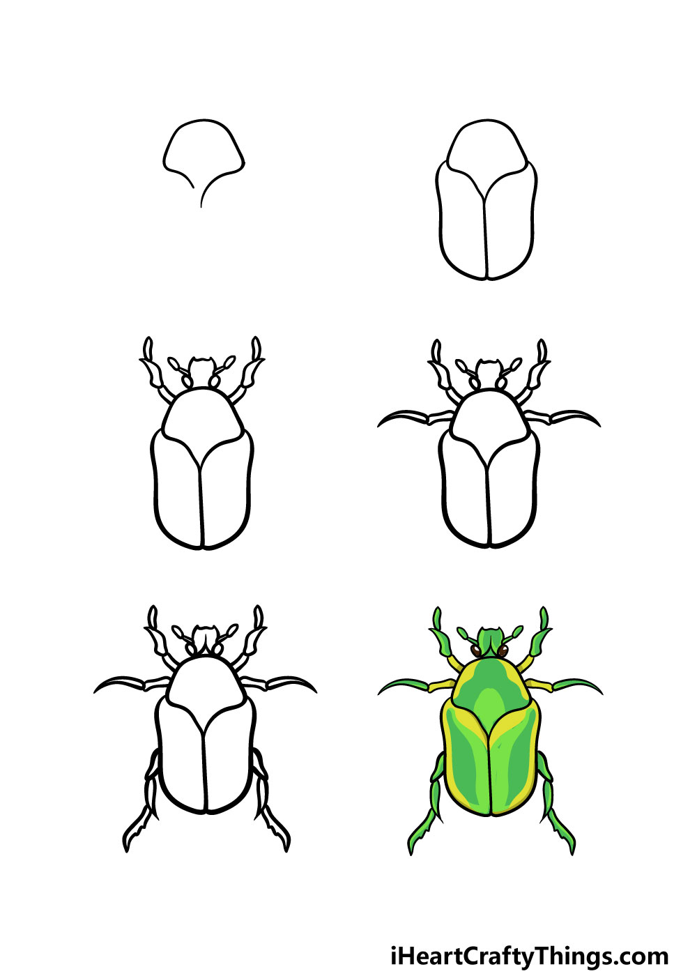 draw a bug activity nativeamericanartdrawingsartworks