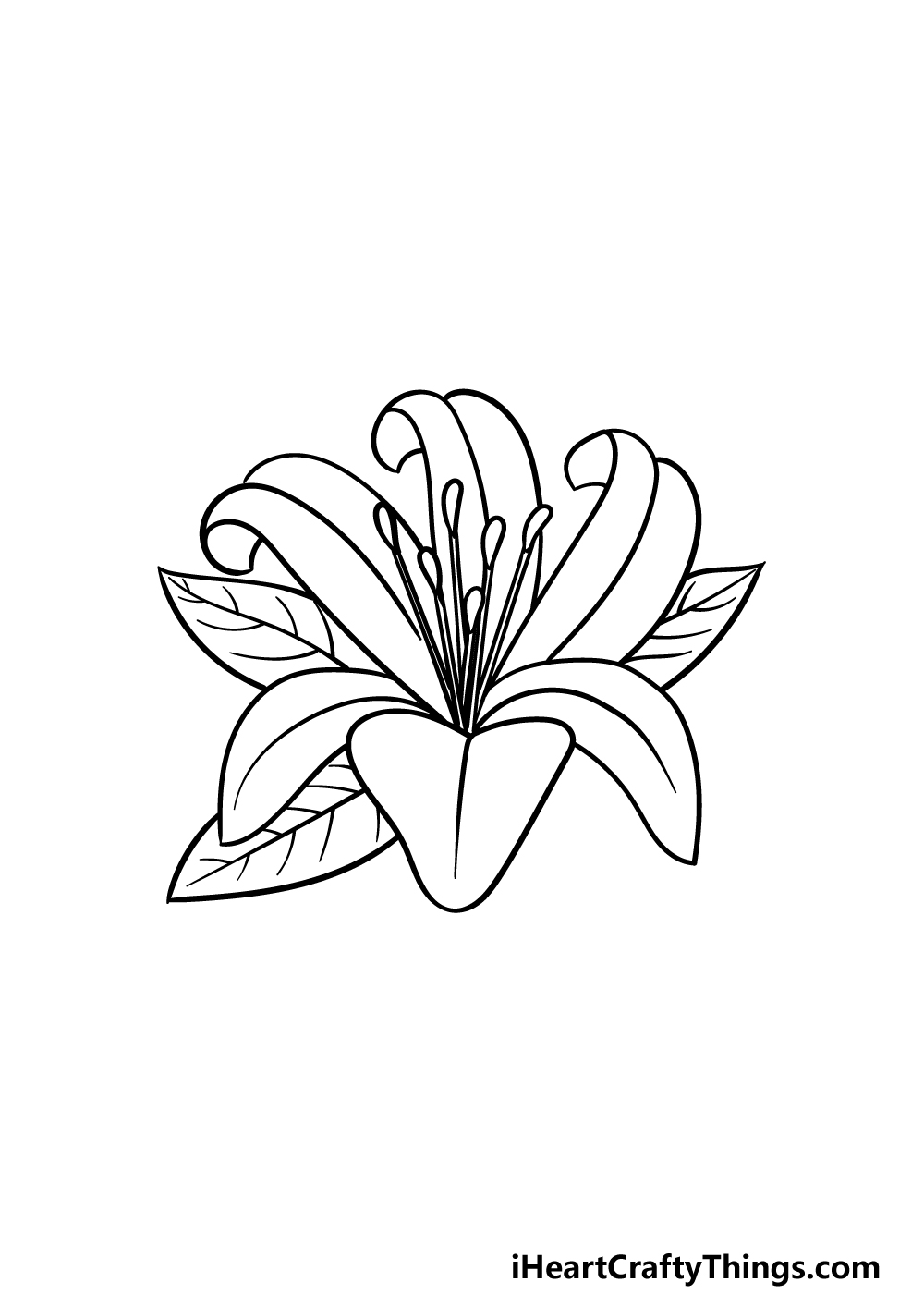 How To Draw A Lily Flower