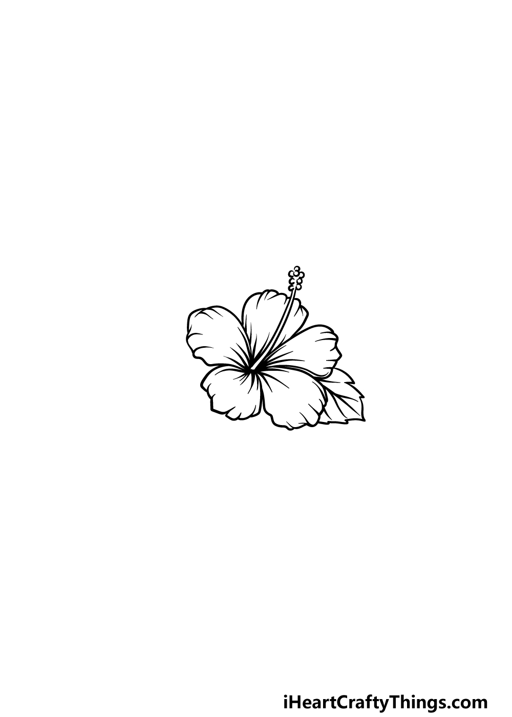 Hawaiian Flower Drawing How To Draw A Hawaiian Flower Step By Step (2023)