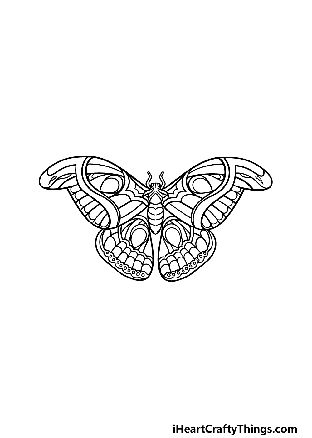 Moth Drawing Simple