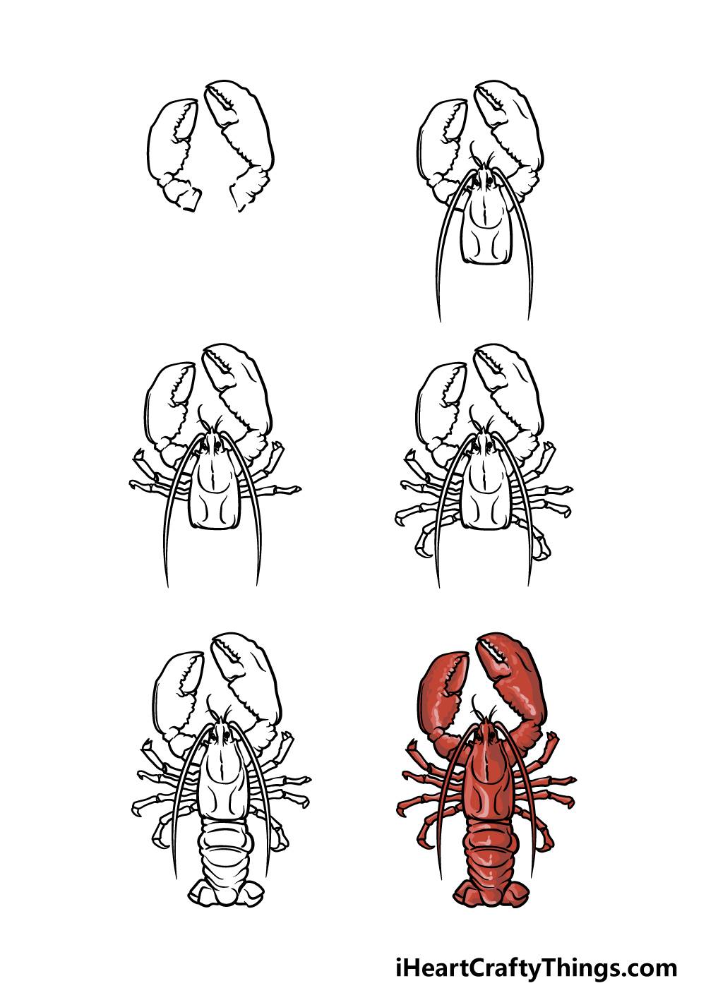 Lobster Drawing