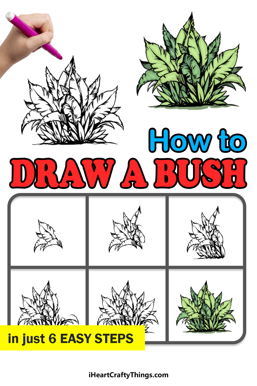 Bush Drawing