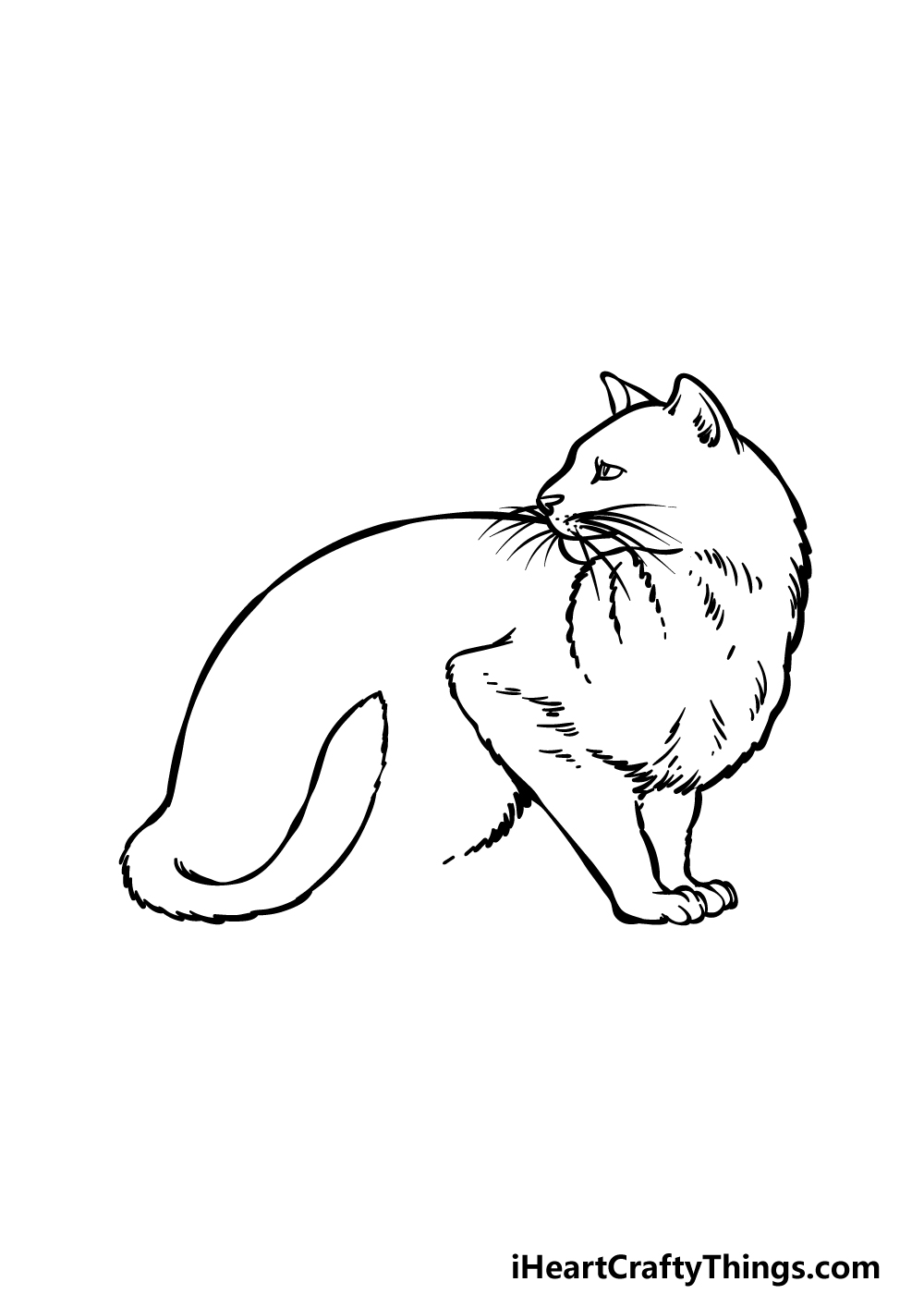 Cat Black And White Sketch