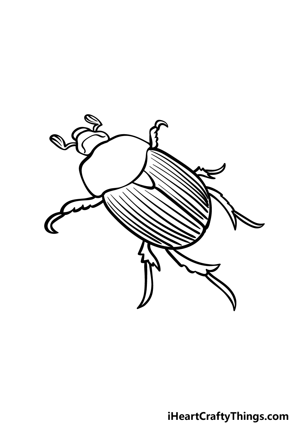 Beetle Drawing