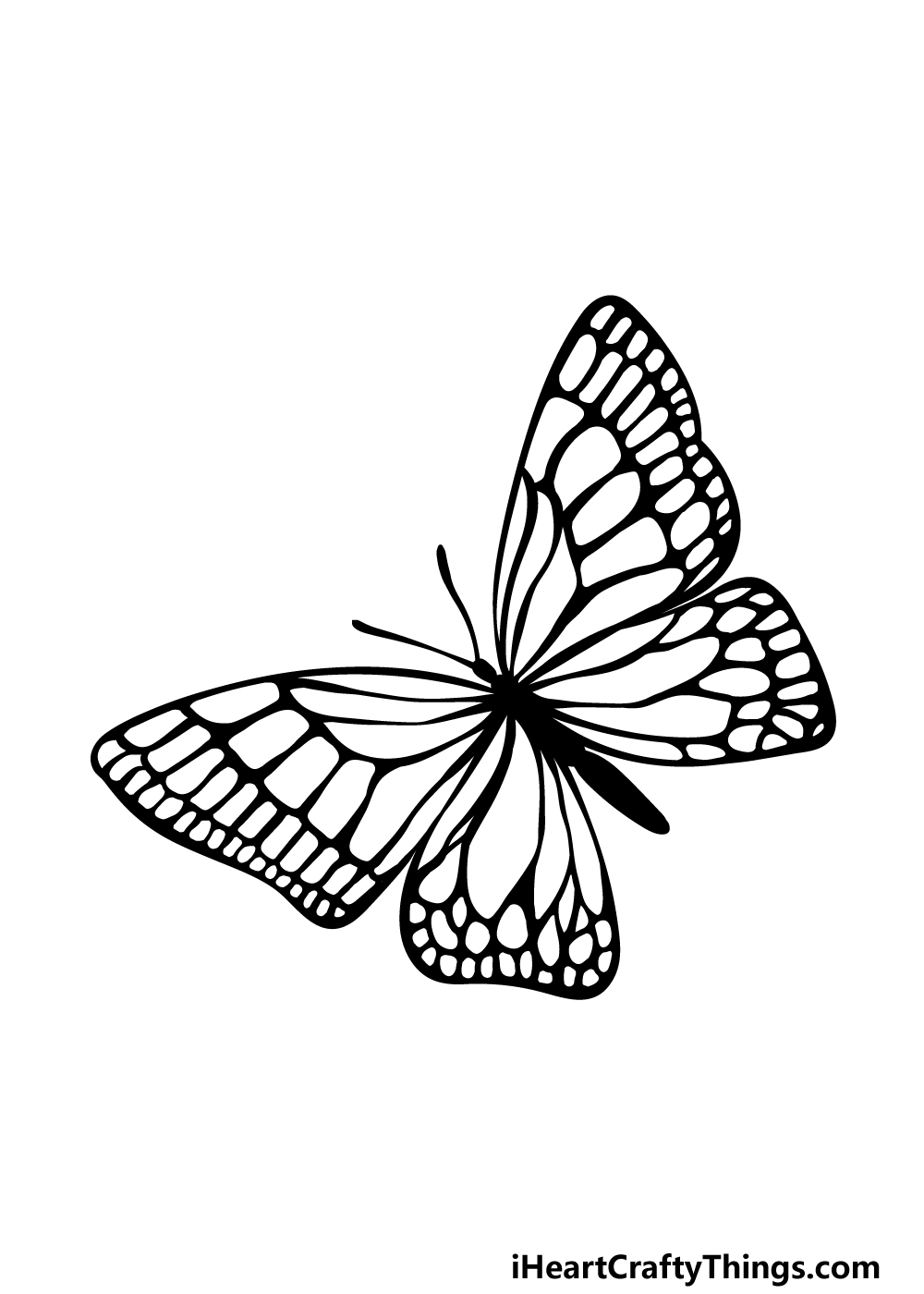 Butterfly Drawing