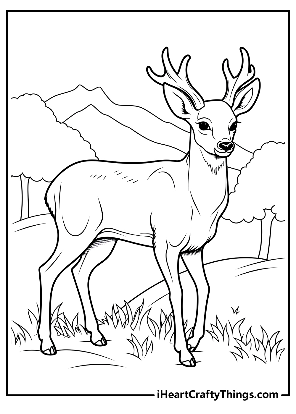 Buck Deer Coloring Pages