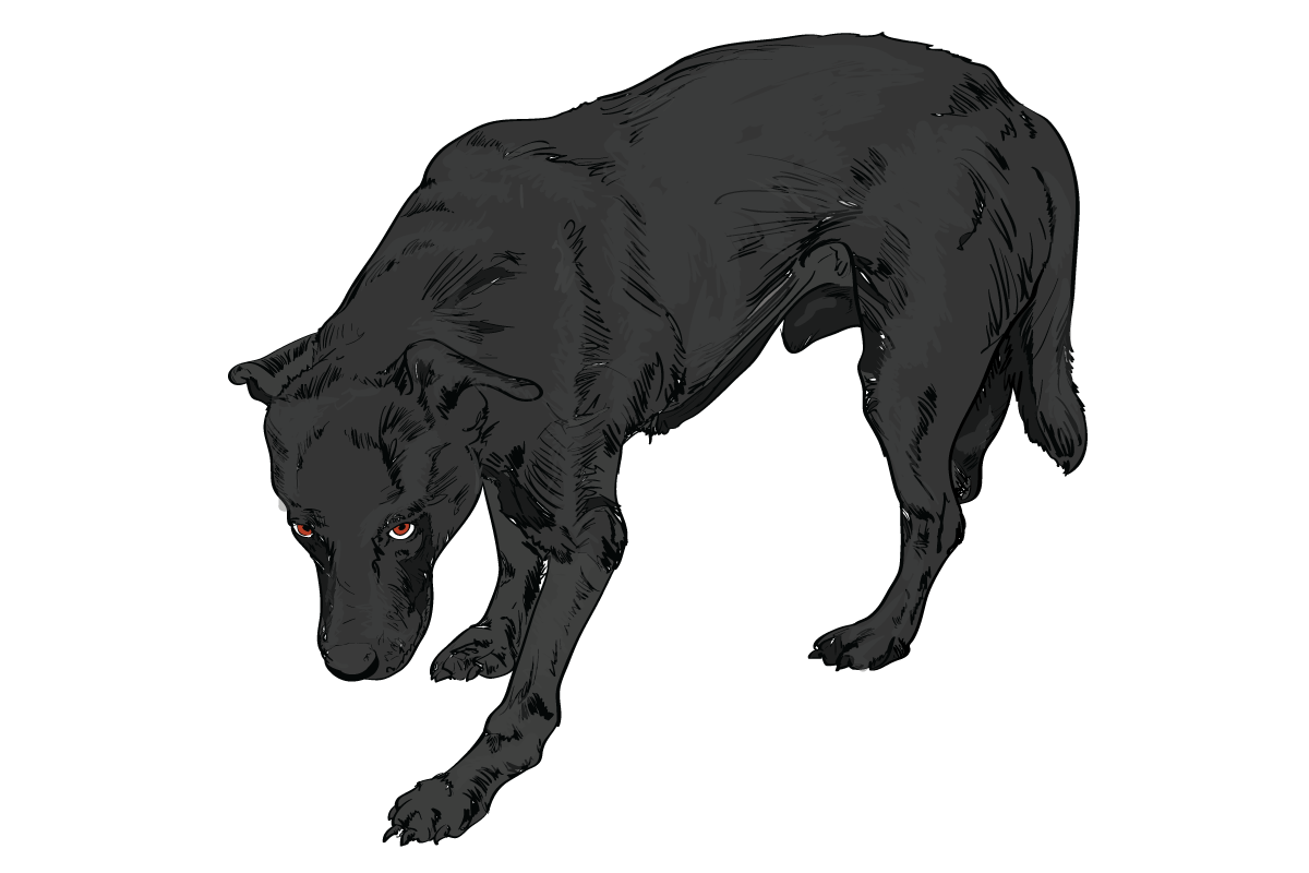 7 Important Dog Body Language Positions And What They Really Mean