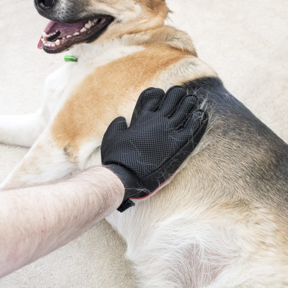 Gentle Touch Pet Grooming & Massaging Glove