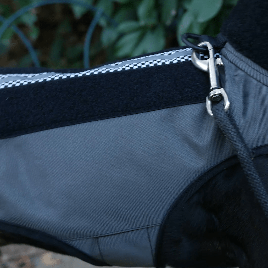 Predator Vest™ Puncture Resistant Pet Armor Deters Coyote Attacks