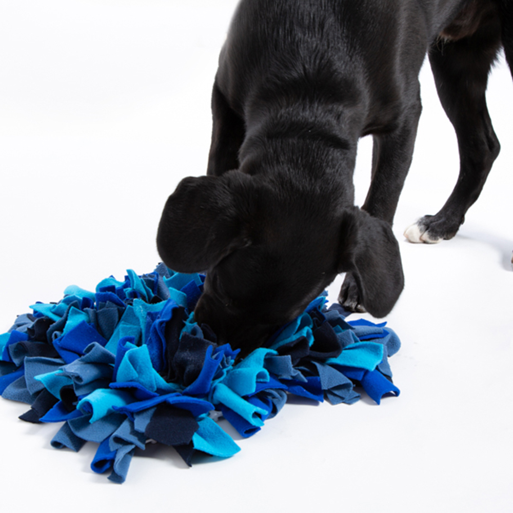 30 Top Gifts for a Senior Dog