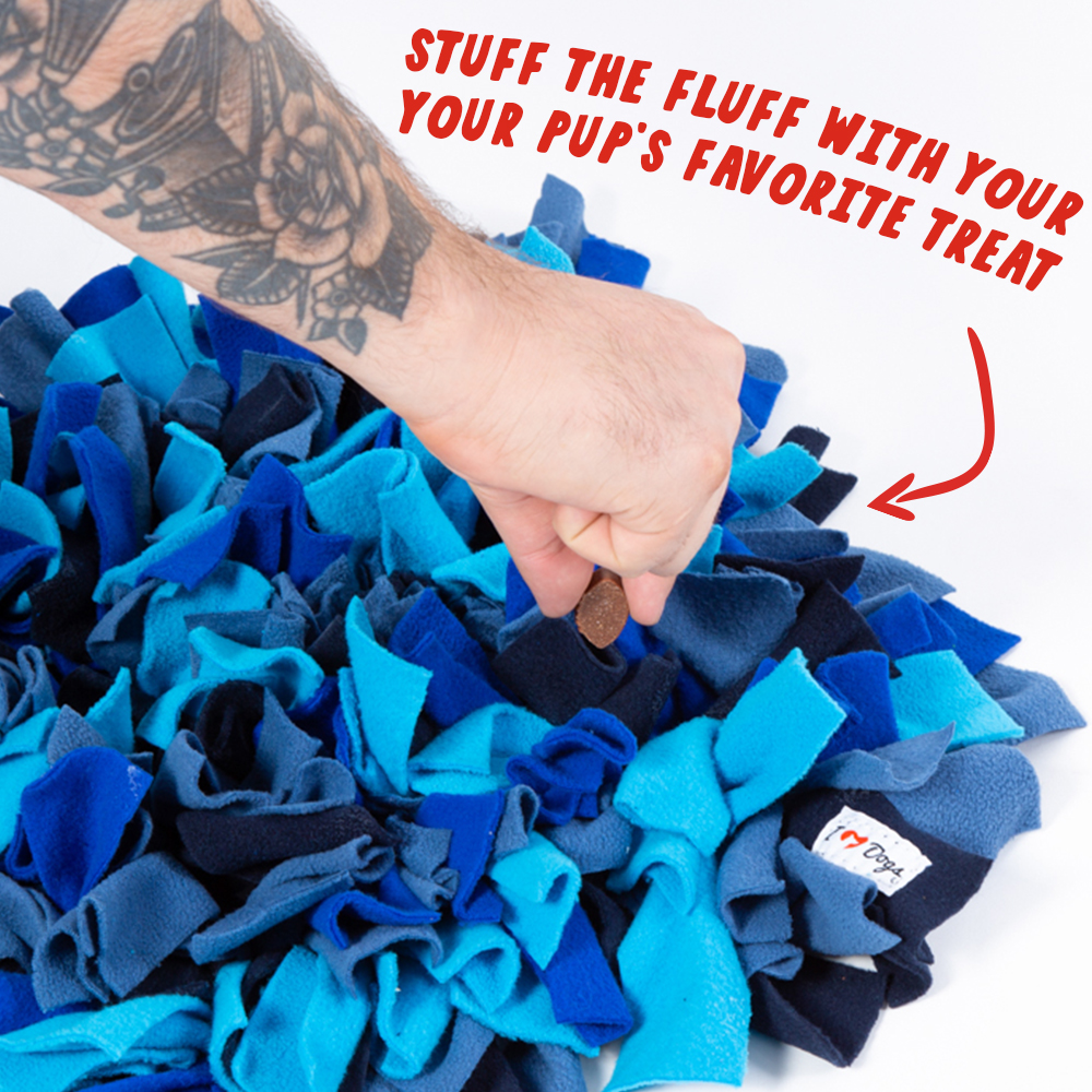 30 Top Gifts for a Senior Dog