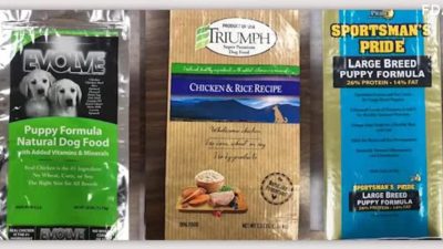 List Of Recalled Dog Foods 2023 Recalled Dog Food Vitamin D Sale Online, 57% Off | Tercesa.com