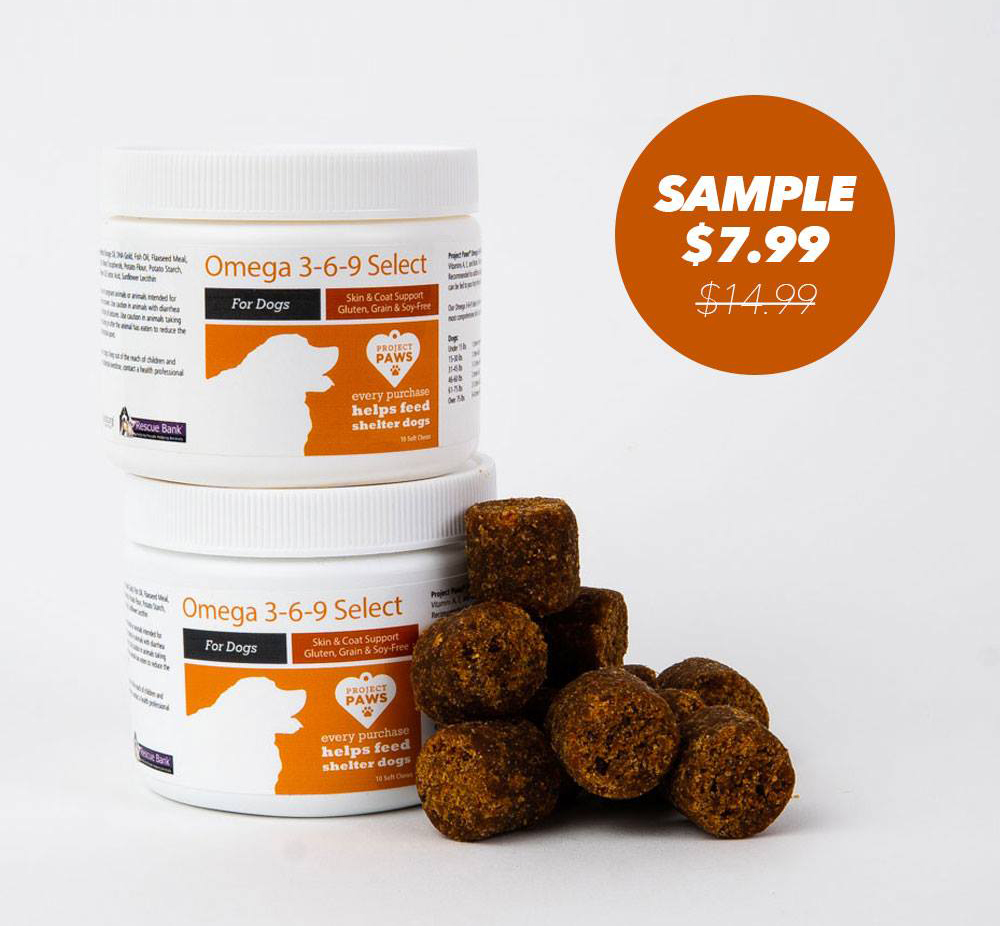 If Your Dog Sheds a Puppy Daily, They Probably Need This Nutrient In