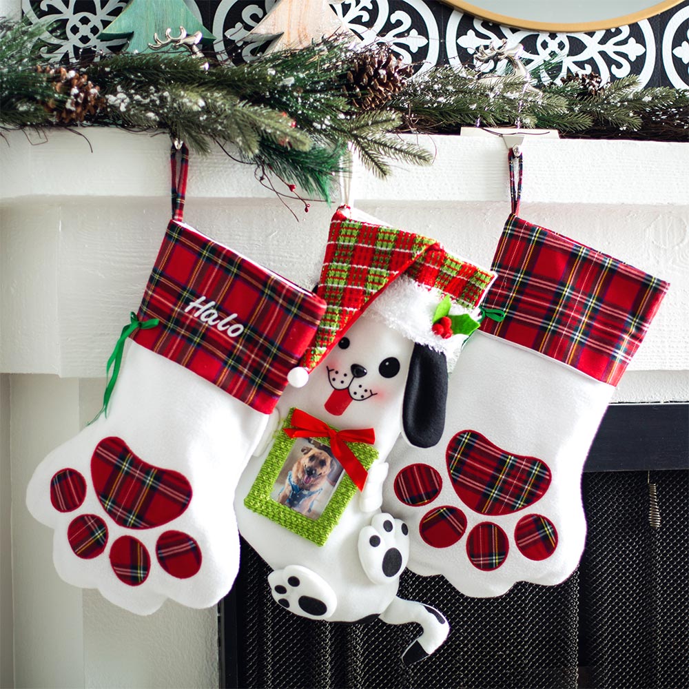 Christmas Stockings With Picture Frame Pawdorable Pup Picture Frame Christmas Stocking