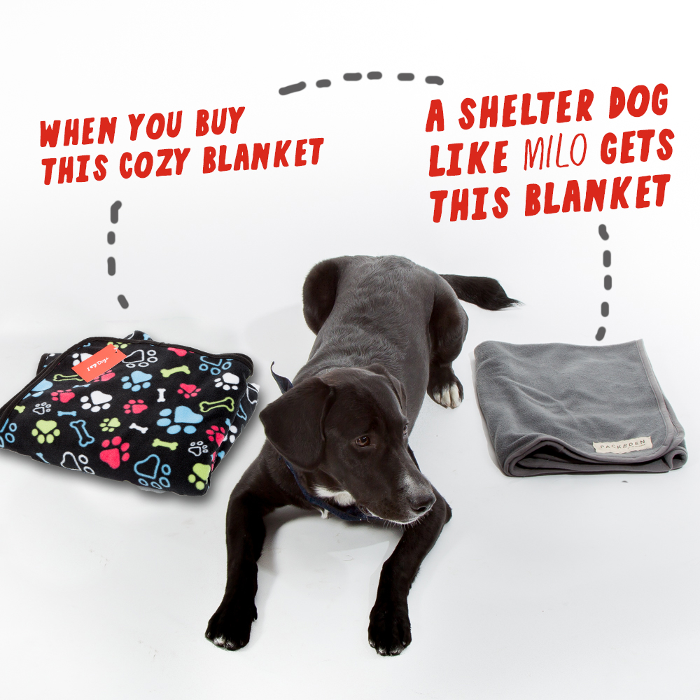 fleece blankets for animal shelters