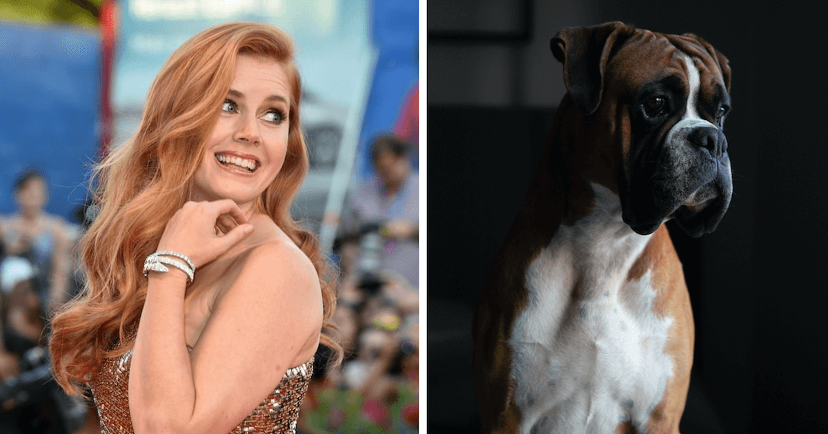 Amy Adams Plays A Woman Turning Into A Dog In Film Whisker
