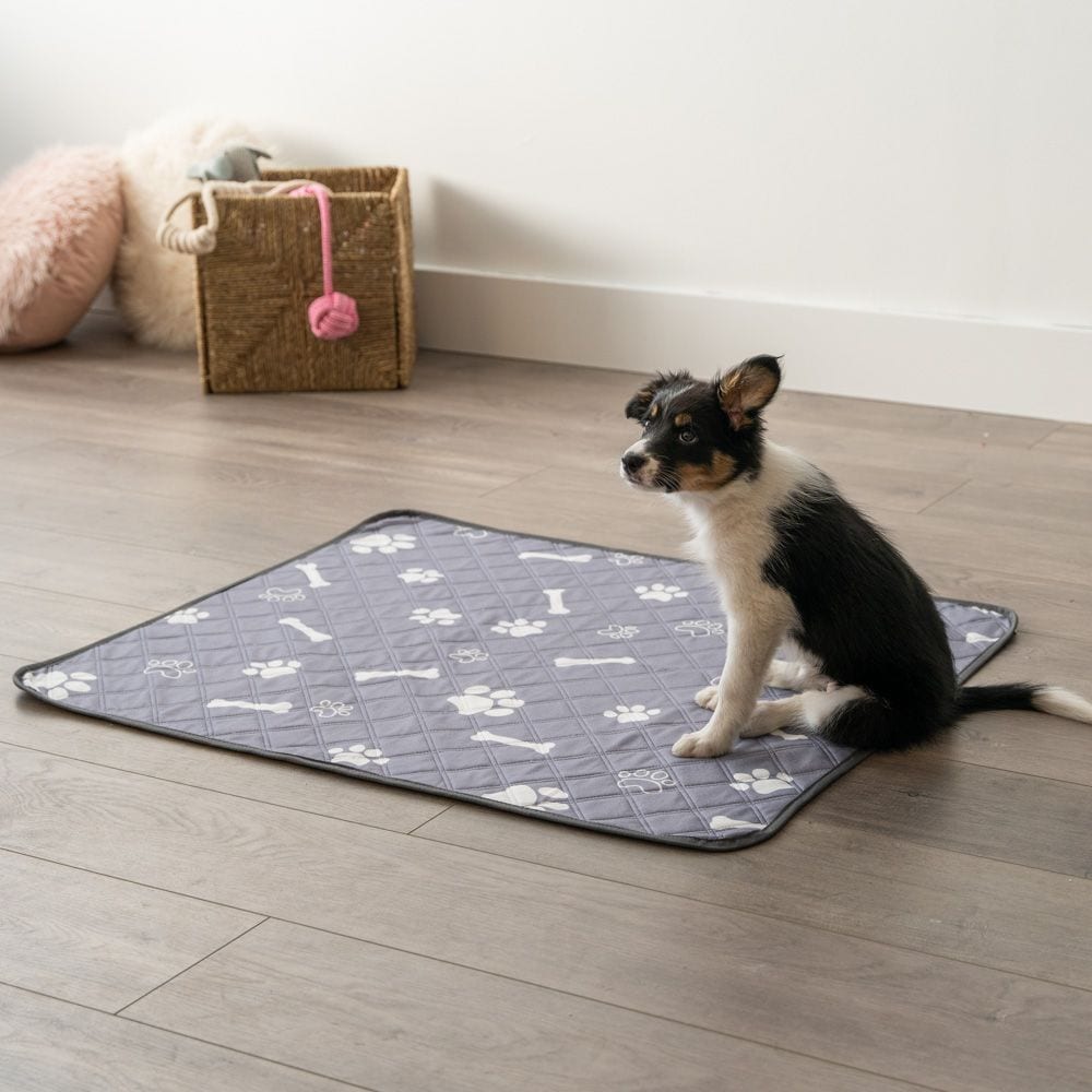 Happy, Healthyâ„¢ï¸  Premium Reusable L/XL Potty Pad