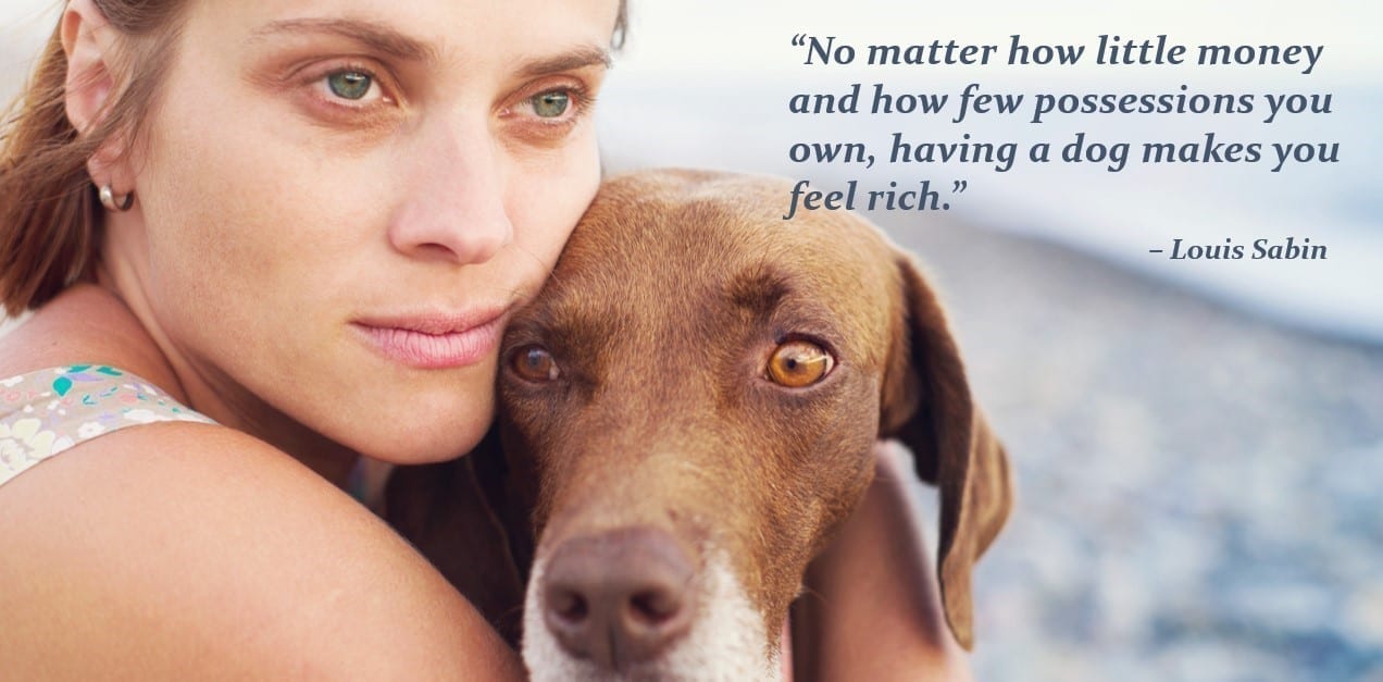 The Healthy Hound Newsletter 55