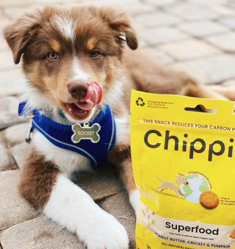 Can Pet Rats Have All Natural Dog Treats