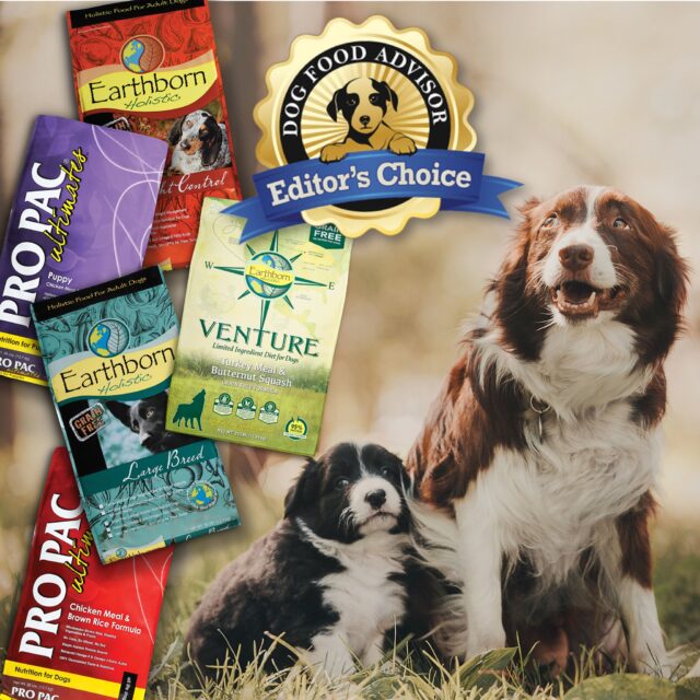 FDA Issues Warning To Pet Food Company After 130 Dogs Die