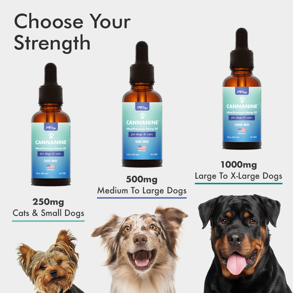 Hemp For Dogs Hemp Calming Treats For Dogs