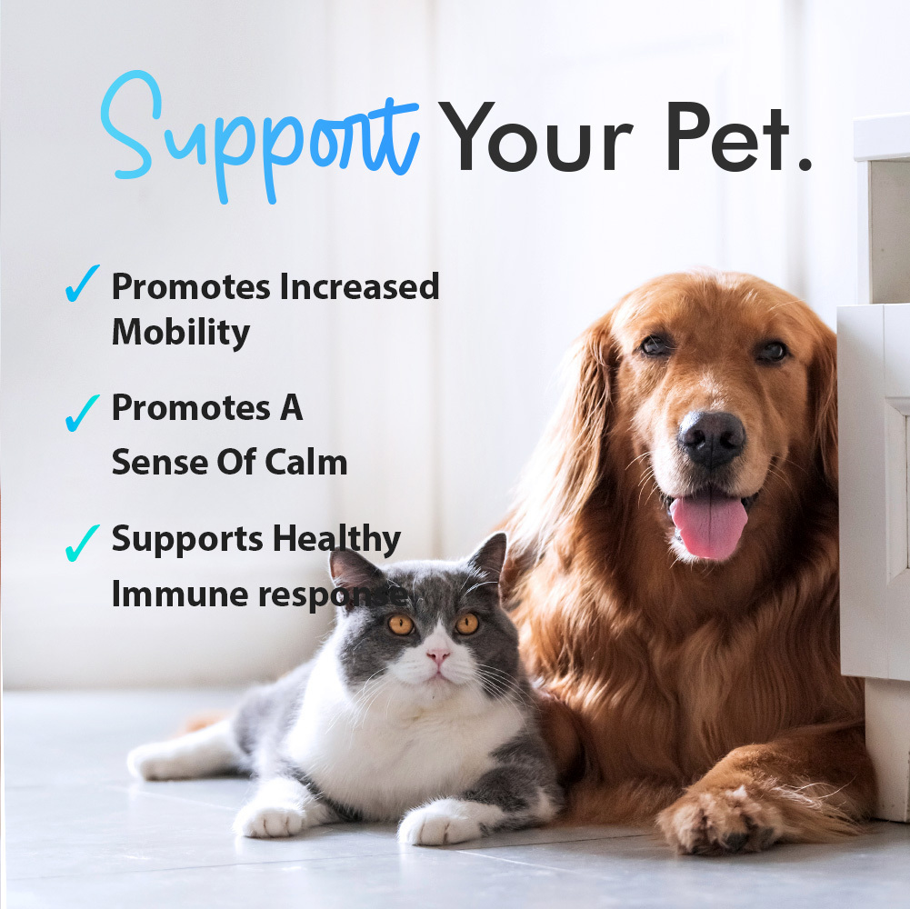 Stress Treatment Stress Relief Supplements For Dogs